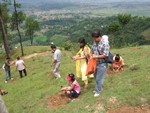 Tree Plantation at Kotgaun