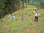 Tree Plantation at Kotgaun