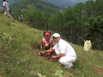 Tree Plantation at Kotgaun