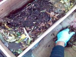 Vermiculture training